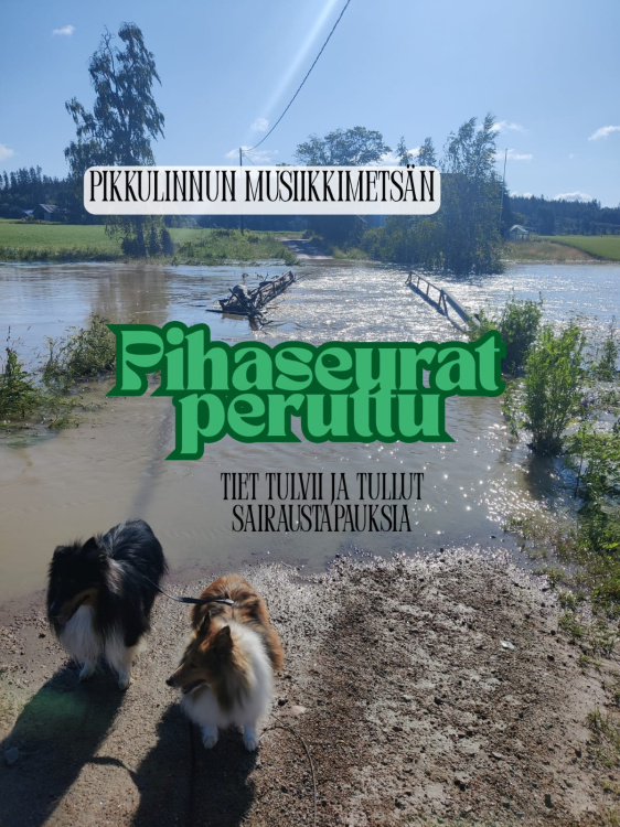 Pihaseurat Pikkulinnun musiikkimetsässä Pihaseurat peruttu tulvan vuoksi