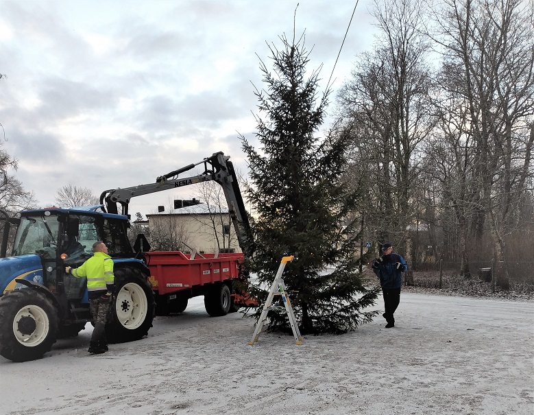 Kim Olander ja Bjarne Österholm pystyttävät kuusen Lapinjärven kellotapulin viereen